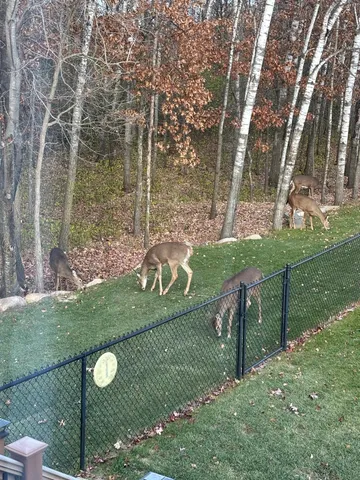 $429,900 | 14545 Grand Oaks Drive, Baxter, MN 56425