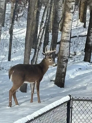 $429,900 | 14545 Grand Oaks Drive, Baxter, MN 56425