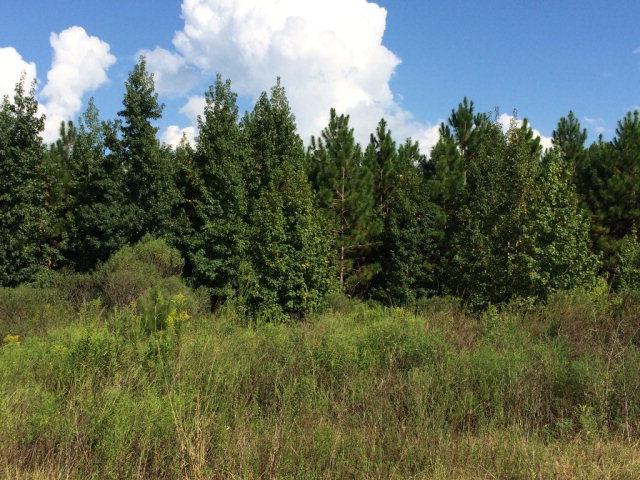 0 Mary McClendon Road Ozark, AL 36360 - Photo 1 of 1