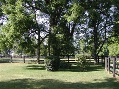 3453 Russell Cave Road Lexington, KY 40511 - Photo 17 of 25 Photo 17