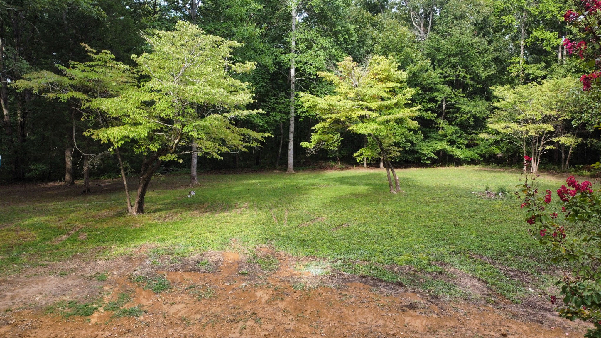 251 Haist Road Hohenwald, TN 38462 - Photo 54 of 56 Gallery Image 54