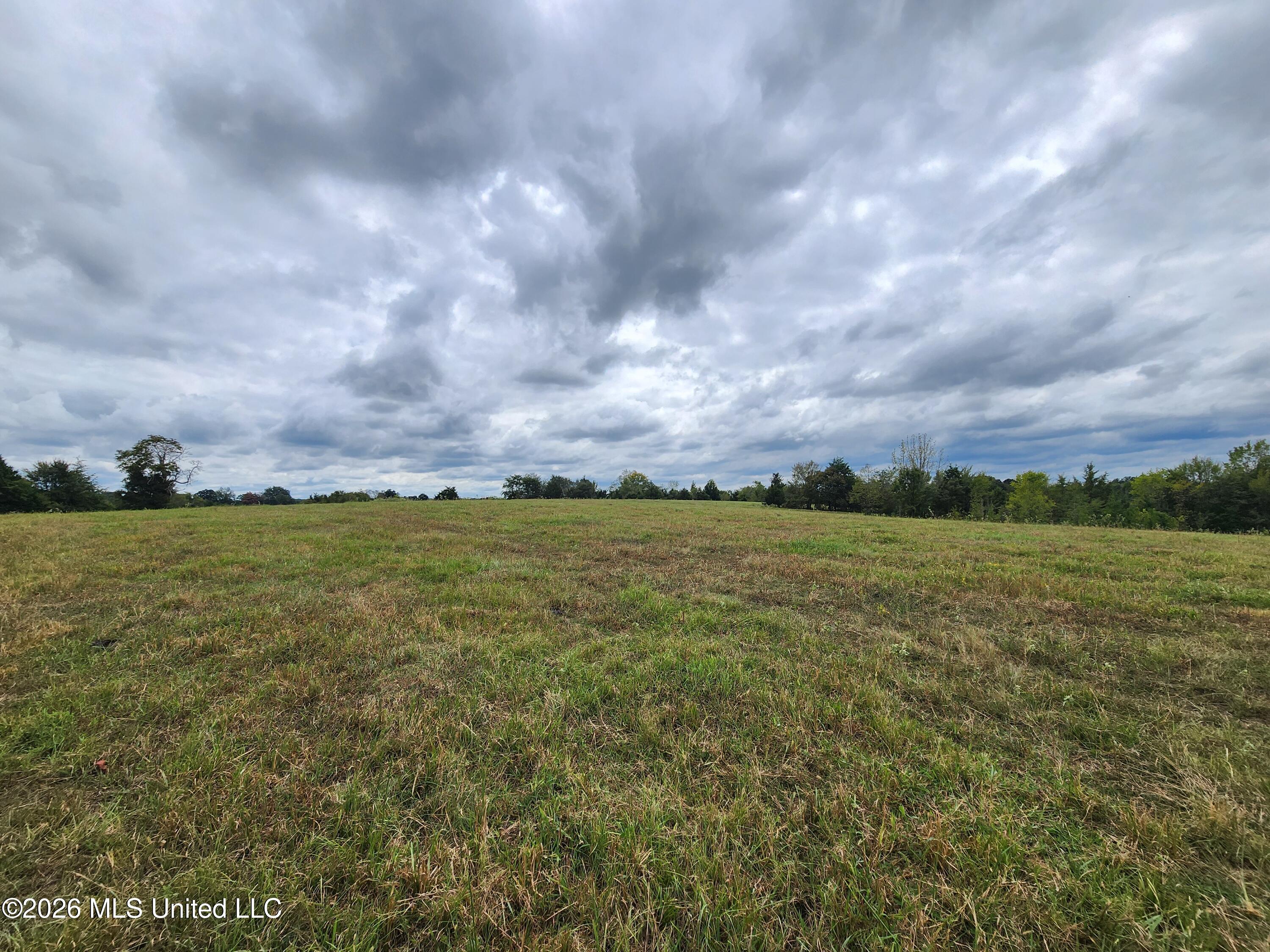 11.05 Bub Jamison Road Coldwater, MS 38618 - Photo 8 of 11 20260924_125148