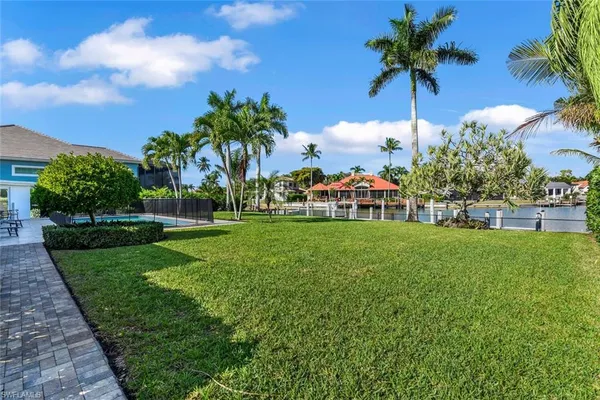 a view of a garden with a tree