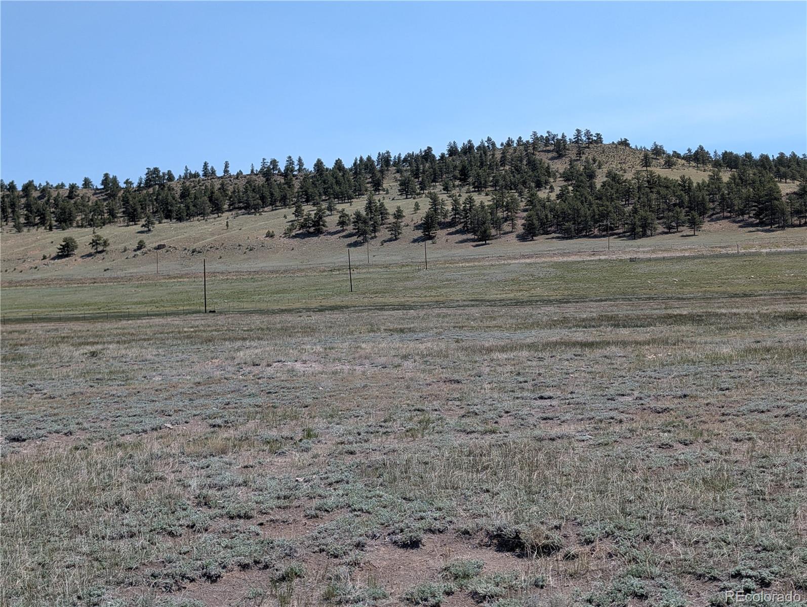 Co-9 Fairplay, CO 80440 - Photo 14 of 21