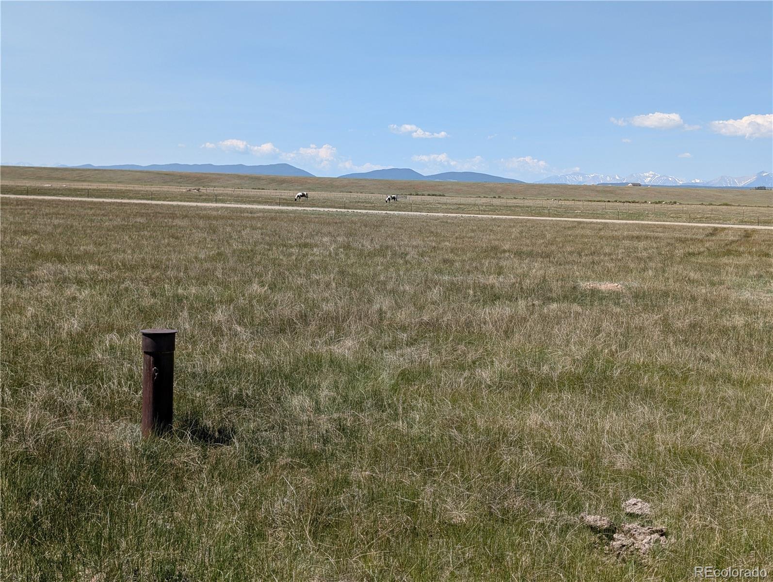 Co-9 Fairplay, CO 80440 - Photo 18 of 21