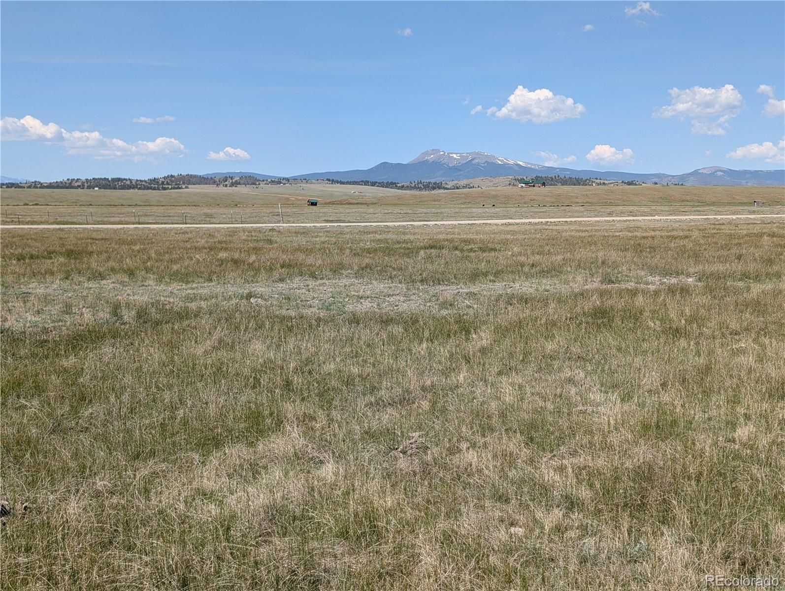 Co-9 Fairplay, CO 80440 - Photo 19 of 21