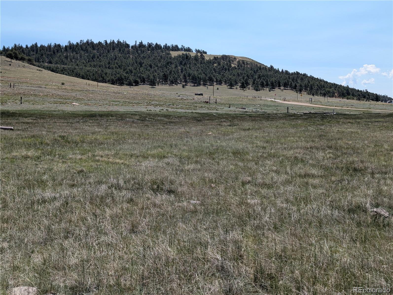 Co-9 Fairplay, CO 80440 - Photo 20 of 21