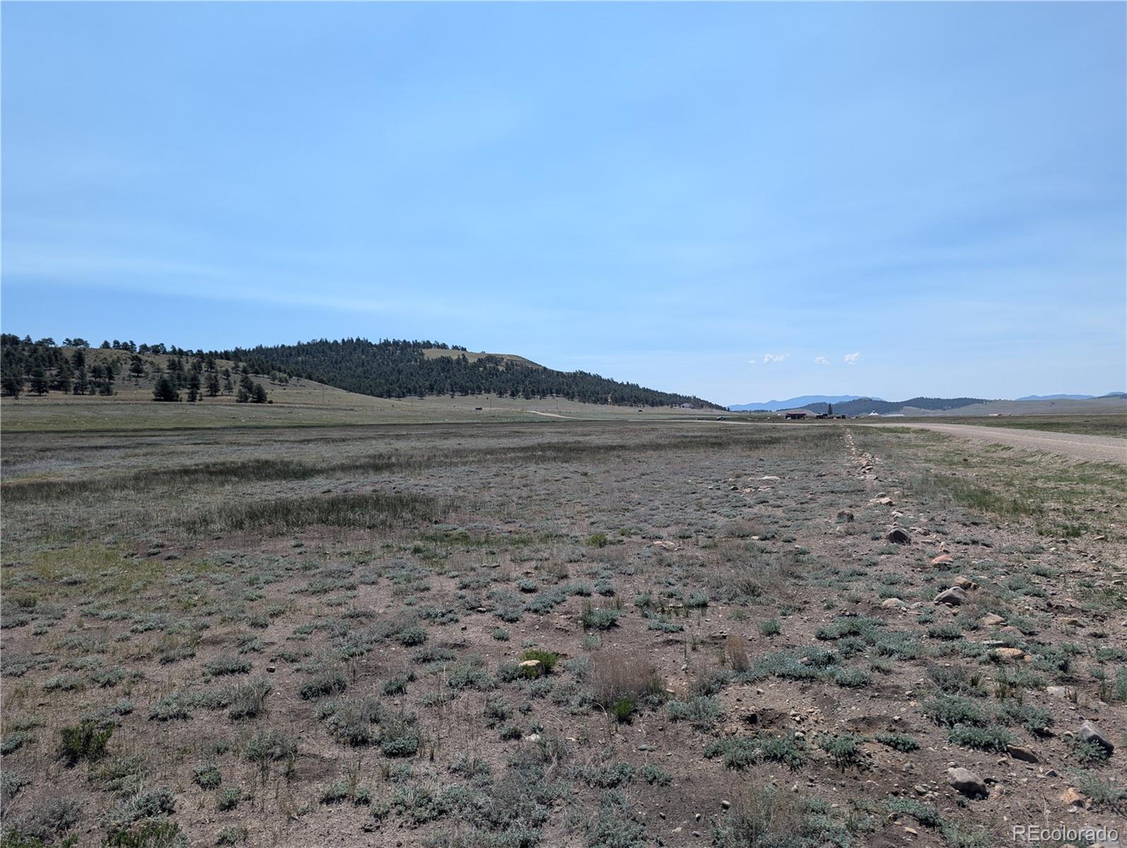 Co-9 Fairplay, CO 80440 - Photo 5 of 21