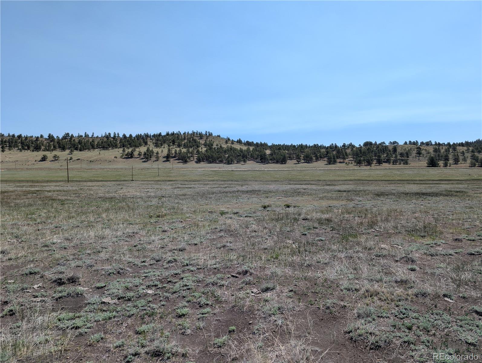 Co-9 Fairplay, CO 80440 - Photo 6 of 21