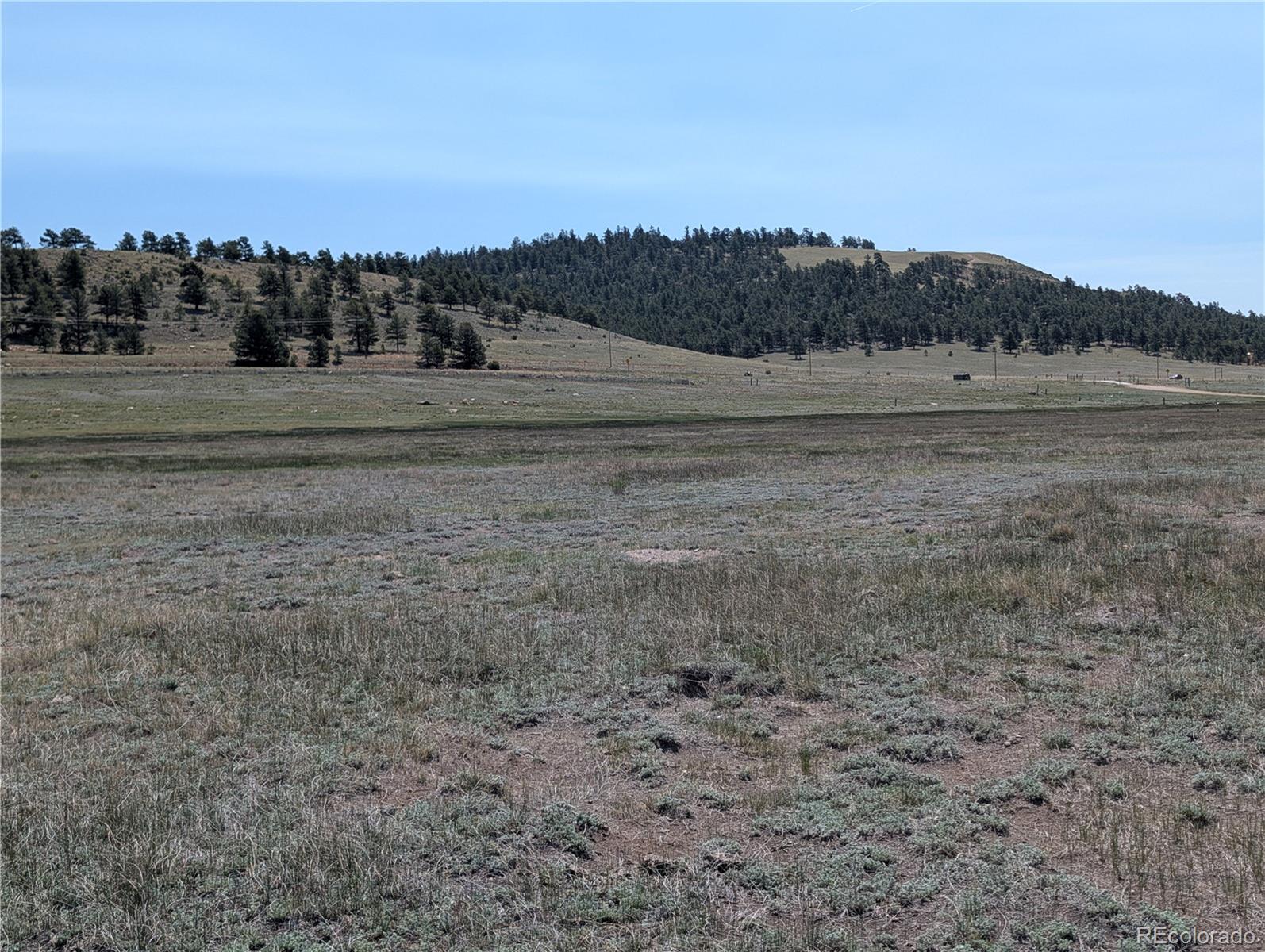 Co-9 Fairplay, CO 80440 - Photo 7 of 21