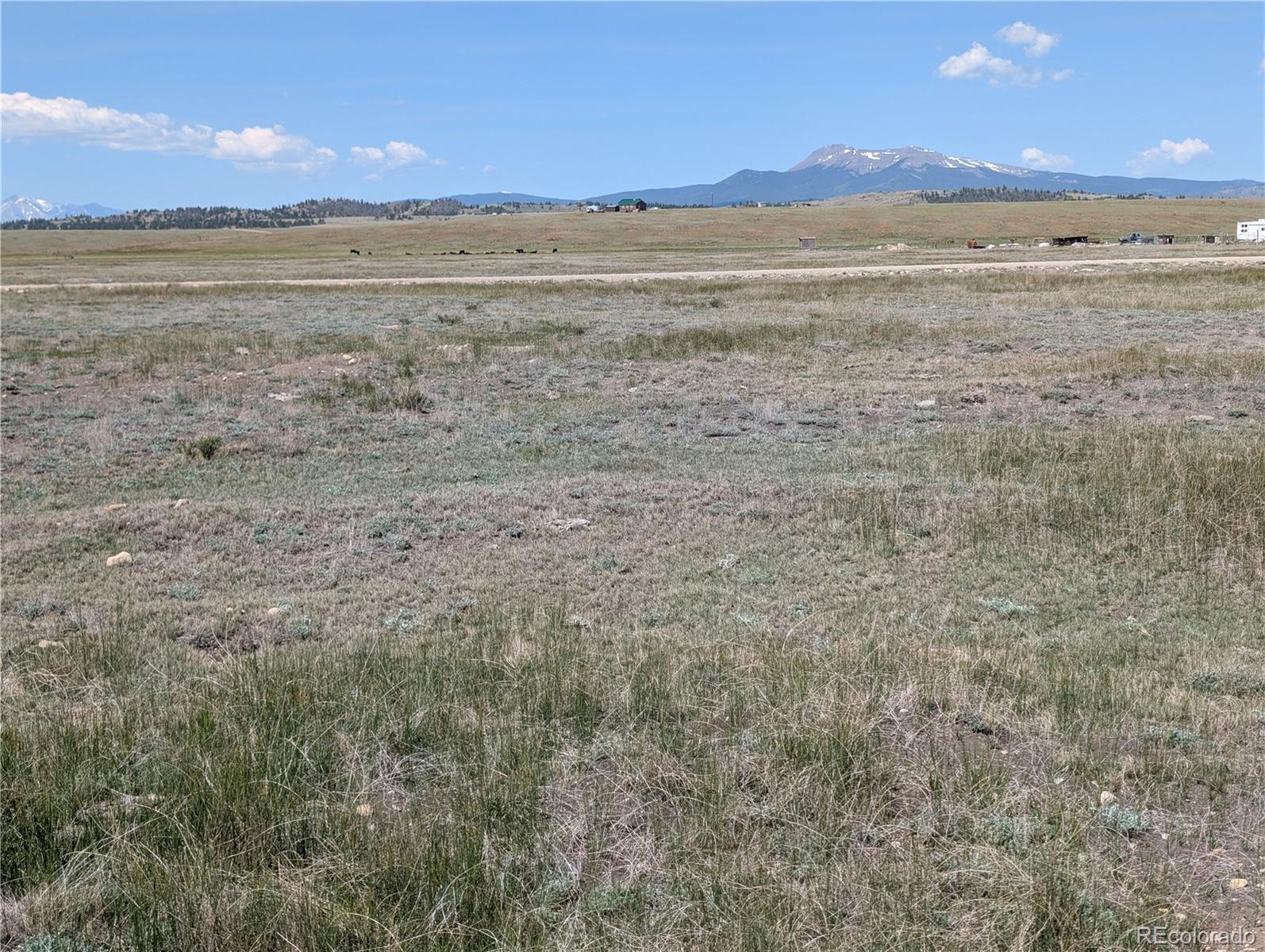 Co-9 Fairplay, CO 80440 - Photo 8 of 21