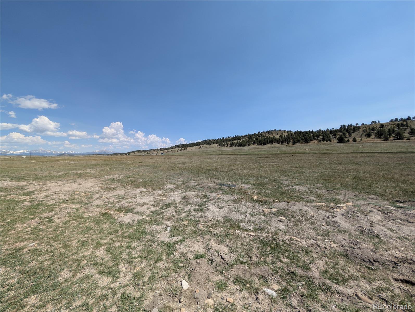 Co-9 Fairplay, CO 80440 - Photo 10 of 21