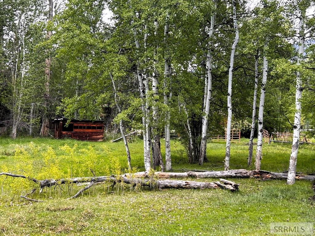 504 Carmen Creek Road Carmen, ID 83462 - Photo 54 of 56