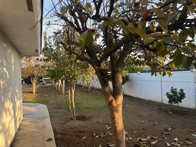 a backyard of a house with lots of green space