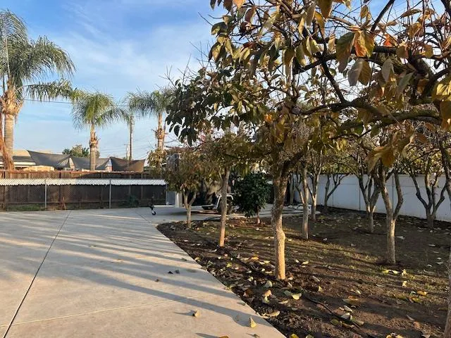 a view of a backyard