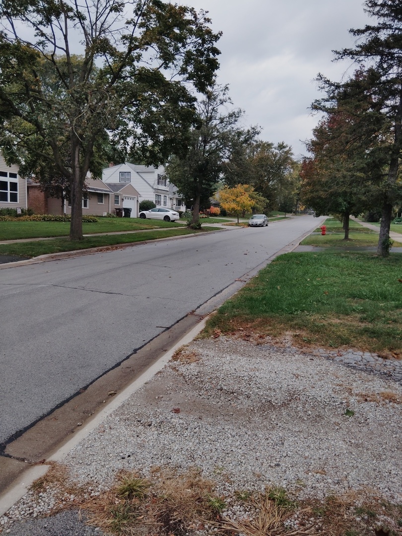 1406 Birch Road Homewood, IL 60430 - Photo 29 of 31