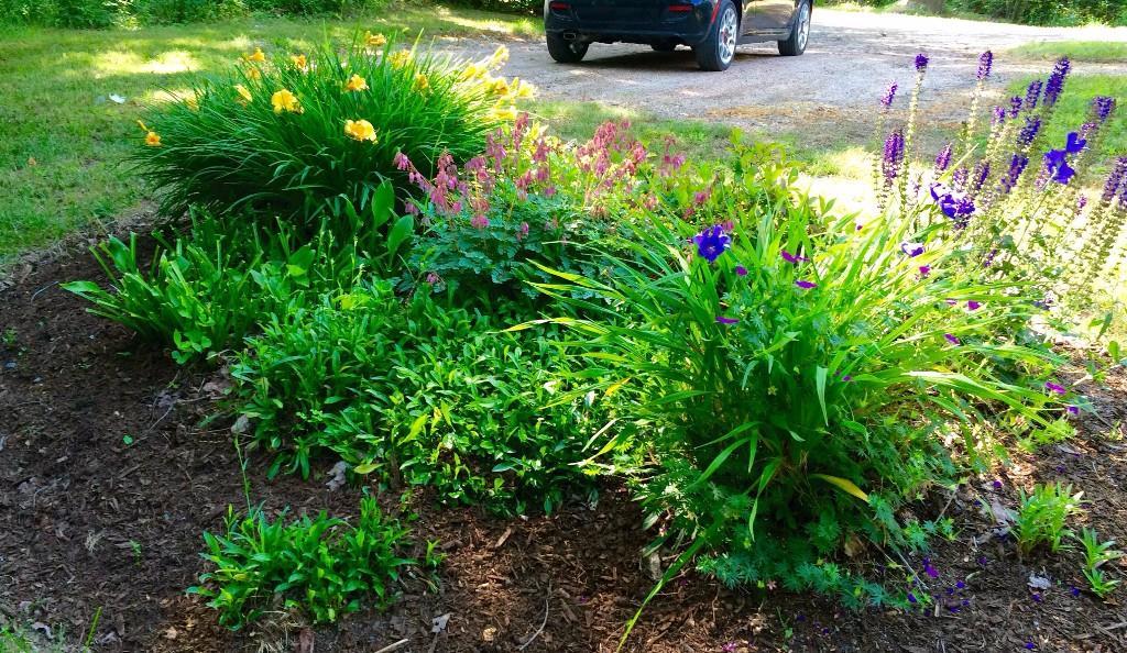 884 Tremont Road Bernard, ME 04612 - Photo 20 of 24 Beautifully landscaped grounds....