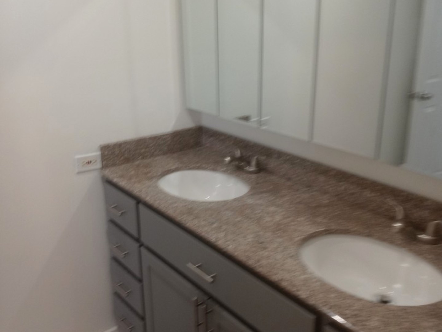 129 West Elk Trail, Unit 329 Carol Stream, IL 60188 - Photo 11 of 18