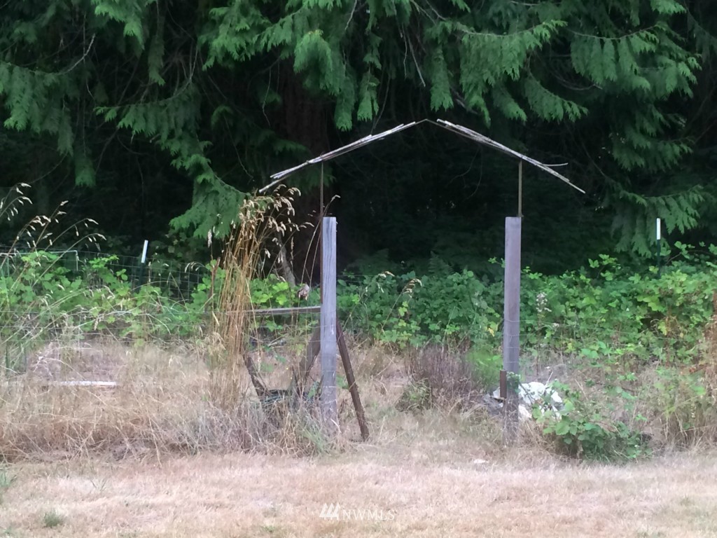7038 Maxwelton Road Clinton, WA 98236 - Photo 5 of 9 a backyard of a house with lots of green space