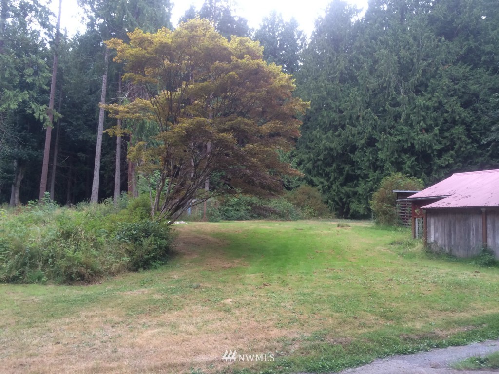 7038 Maxwelton Road Clinton, WA 98236 - Photo 7 of 9 a backyard of a house with lots of green space