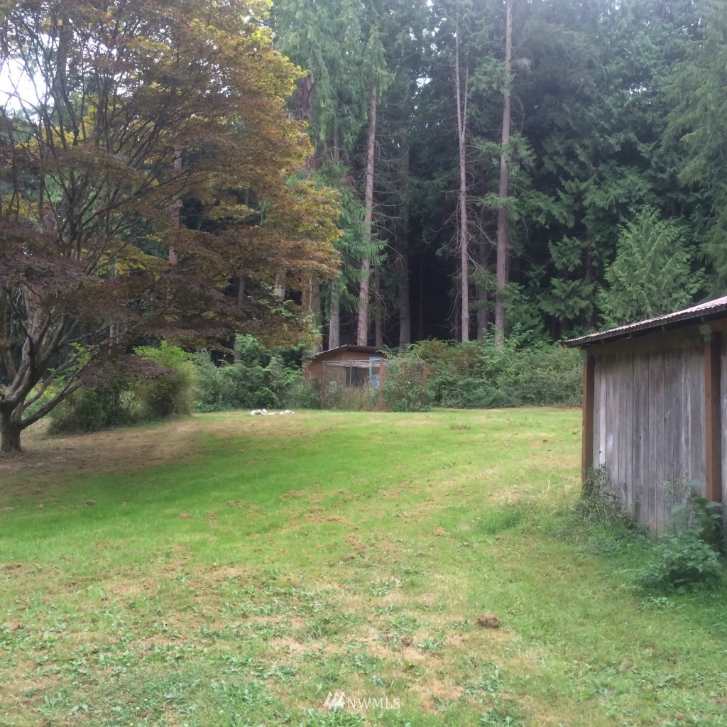 7038 Maxwelton Road Clinton, WA 98236 - Photo 8 of 9 a view of a backyard with plants and large trees