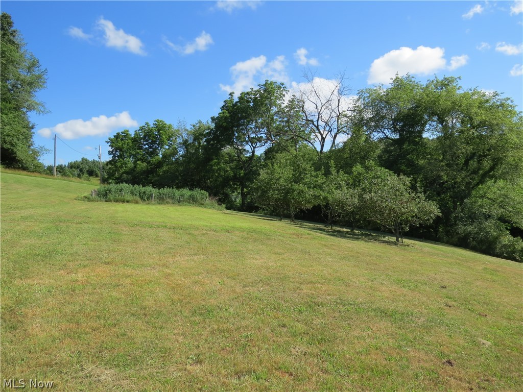2205 Irish Road Magnolia, OH 44643 - Photo 20 of 31 View of yard