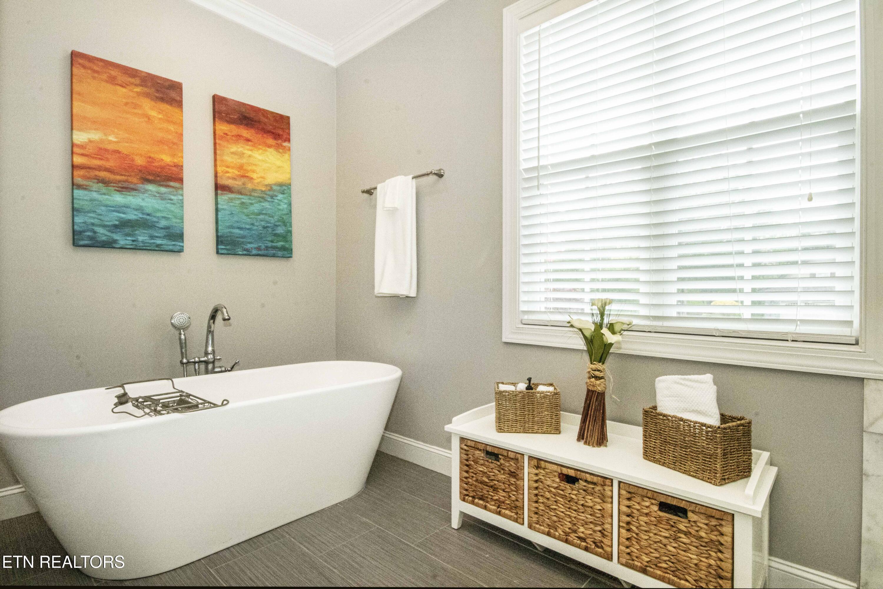 113 Inola Place Loudon, TN 37774 - Photo 33 of 42 Primary Bathroom