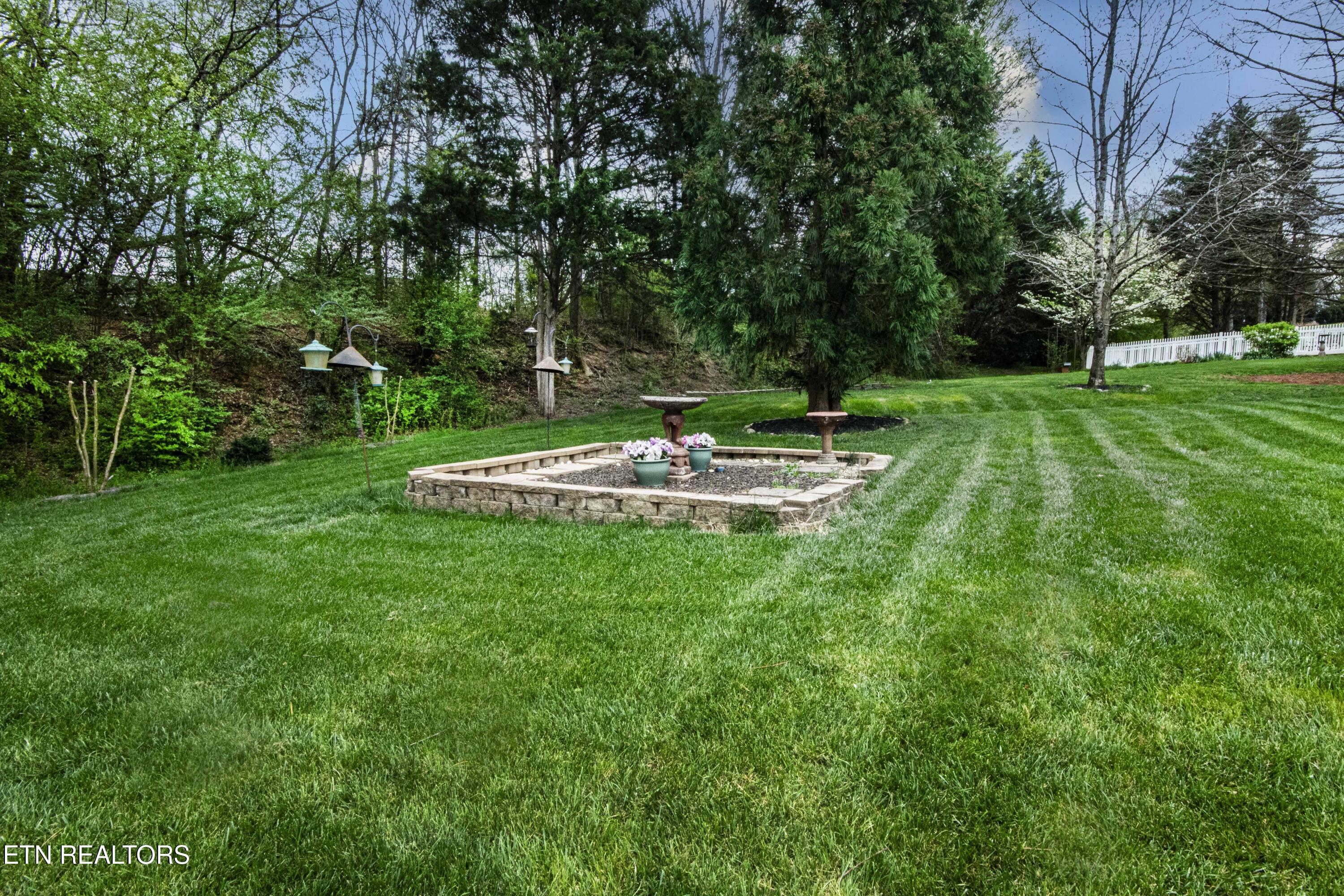 113 Inola Place Loudon, TN 37774 - Photo 7 of 42 Backyard