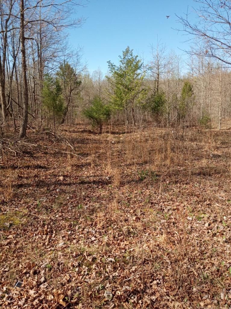 0 Rayl Hollow Road Decatur, TN 37322 - Photo 17 of 18 Gallery Image 17
