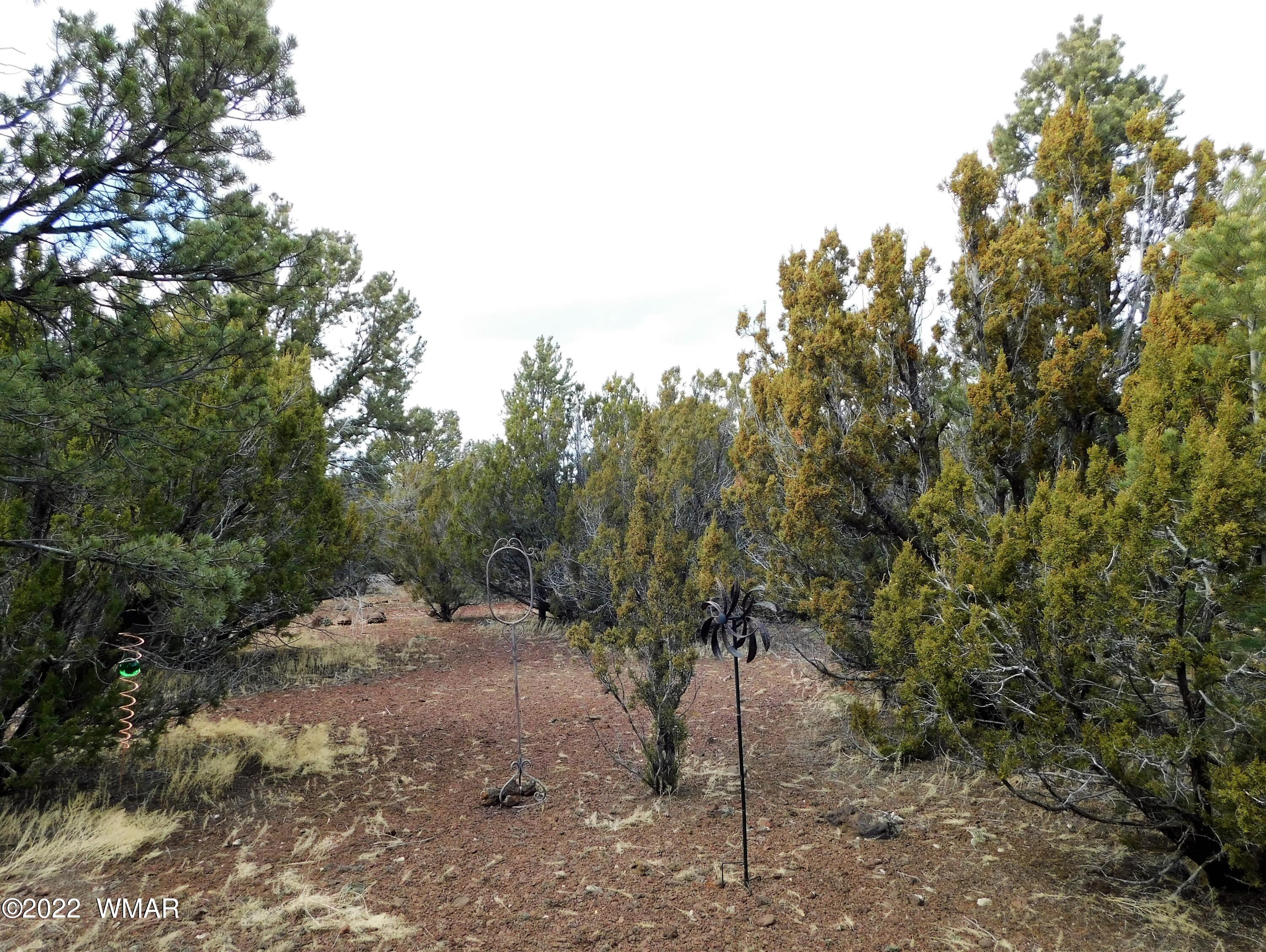 47 McPherson Road Vernon, AZ 85940 - Photo 12 of 14