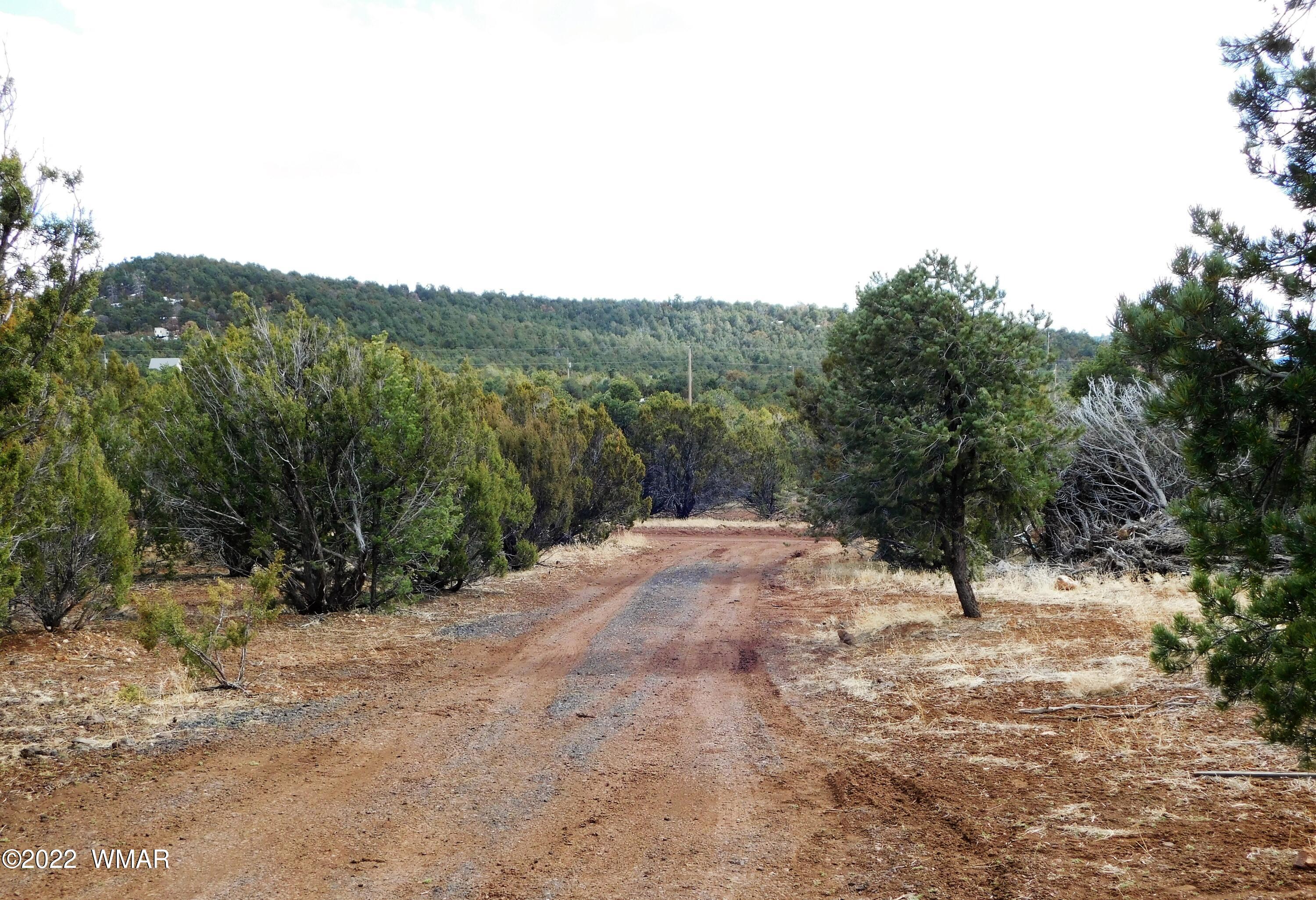 47 McPherson Road Vernon, AZ 85940 - Photo 13 of 14