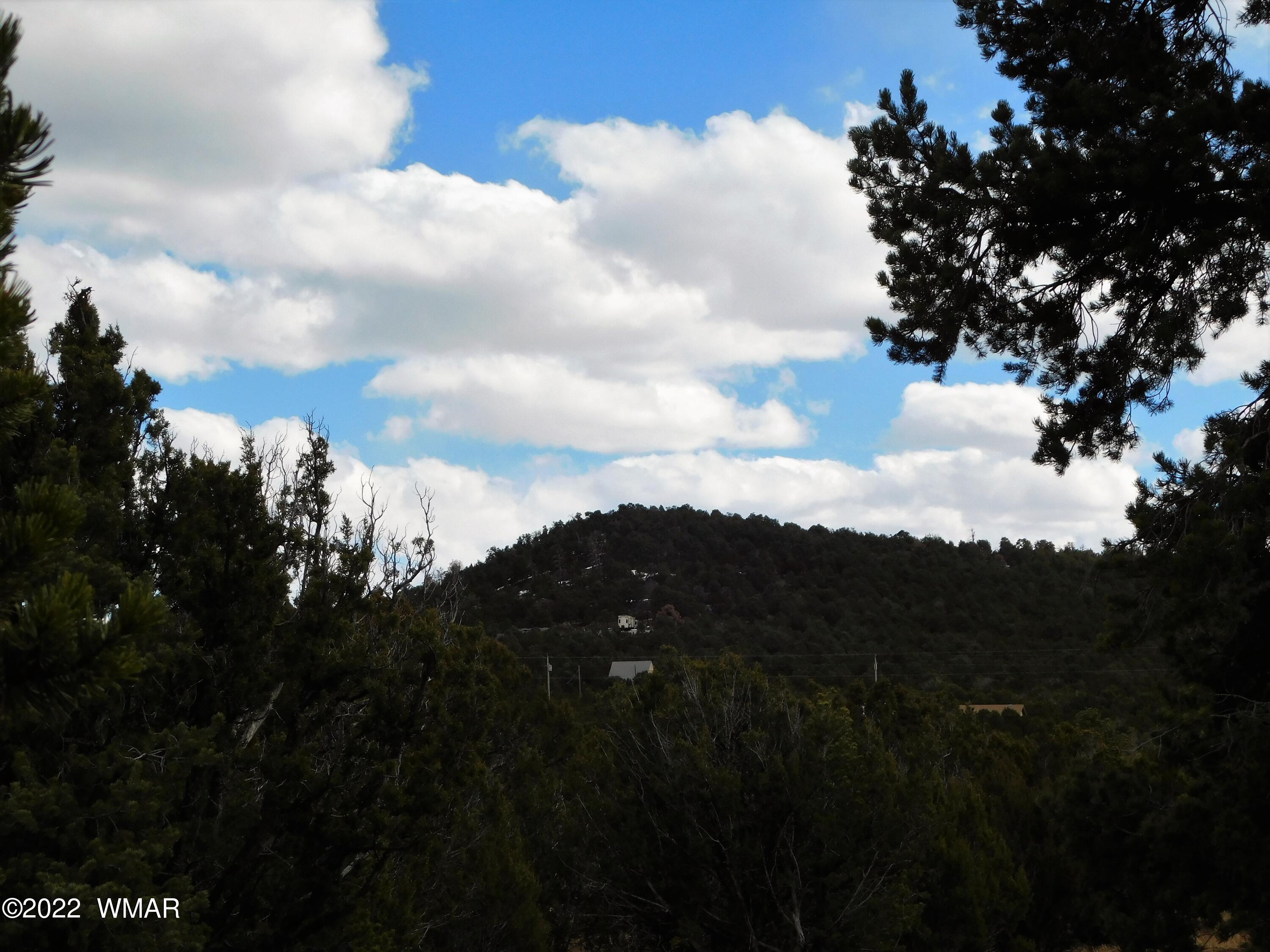 47 McPherson Road Vernon, AZ 85940 - Photo 14 of 14