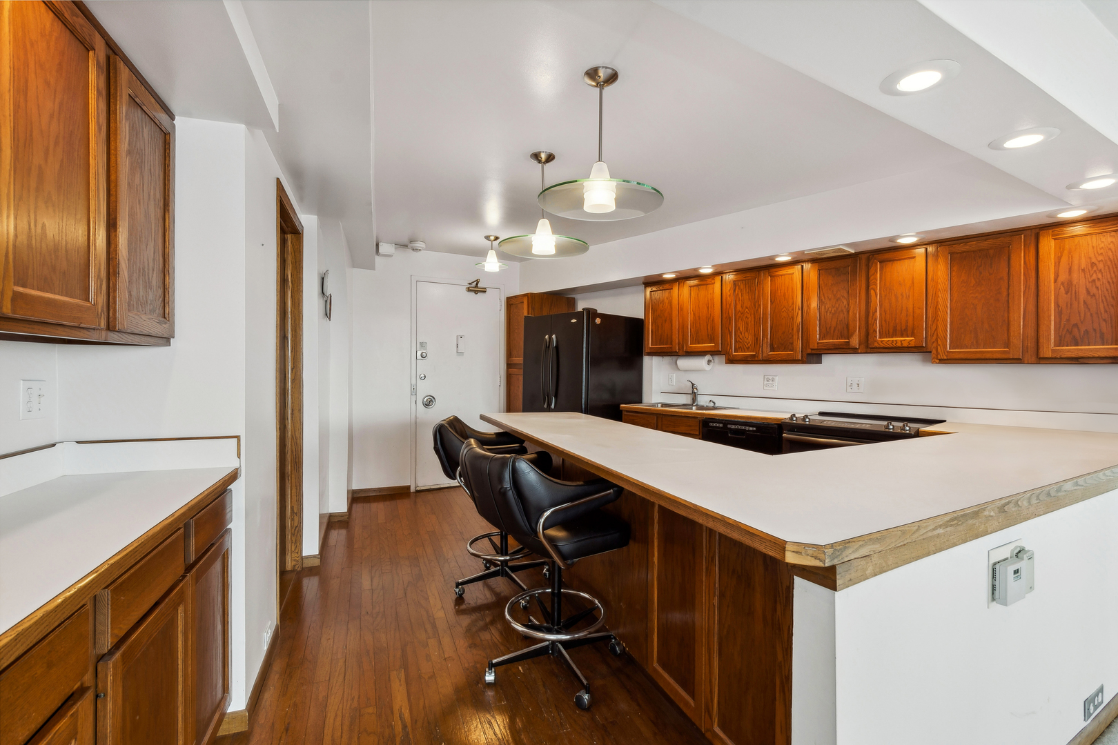 300 North State Street, Unit 44324433 Chicago, IL 60654 - Photo 6 of 32