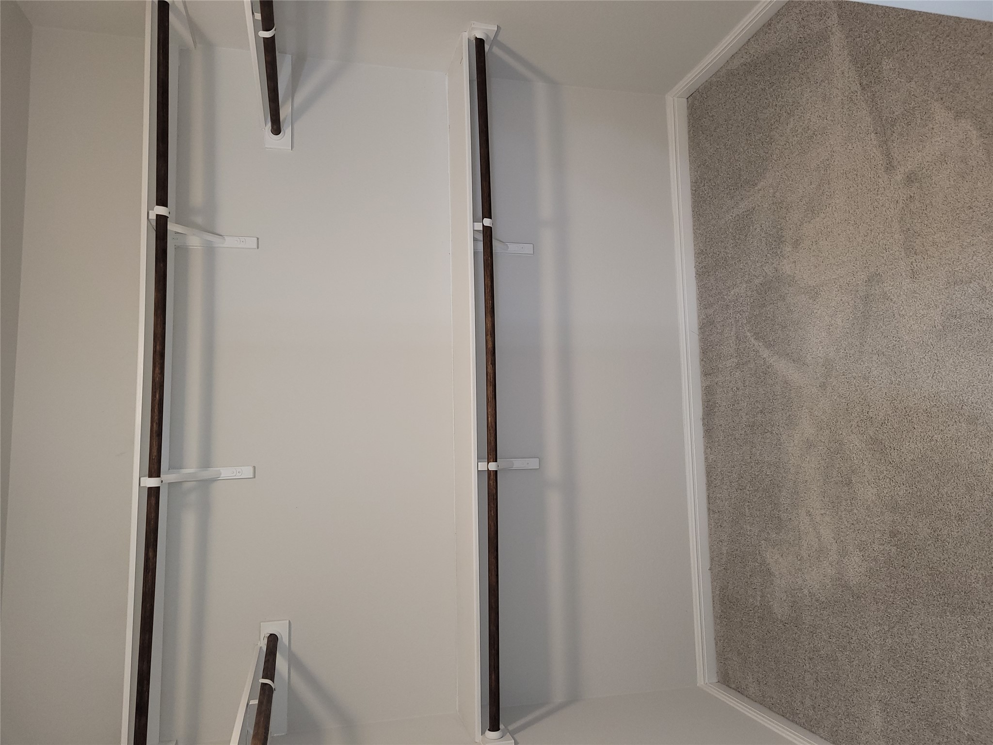 8308 Daisy Cutter Crossing Georgetown, TX 78626 - Photo 21 of 27 Ample shelving and hanging space defines this well-appointed walk-in closet.