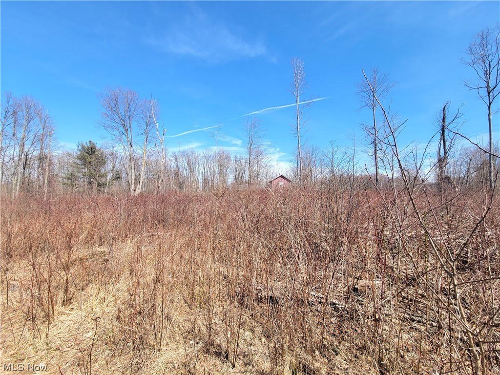 6801 South Ridge Road East Geneva, OH 44041 - Photo 6 of 7