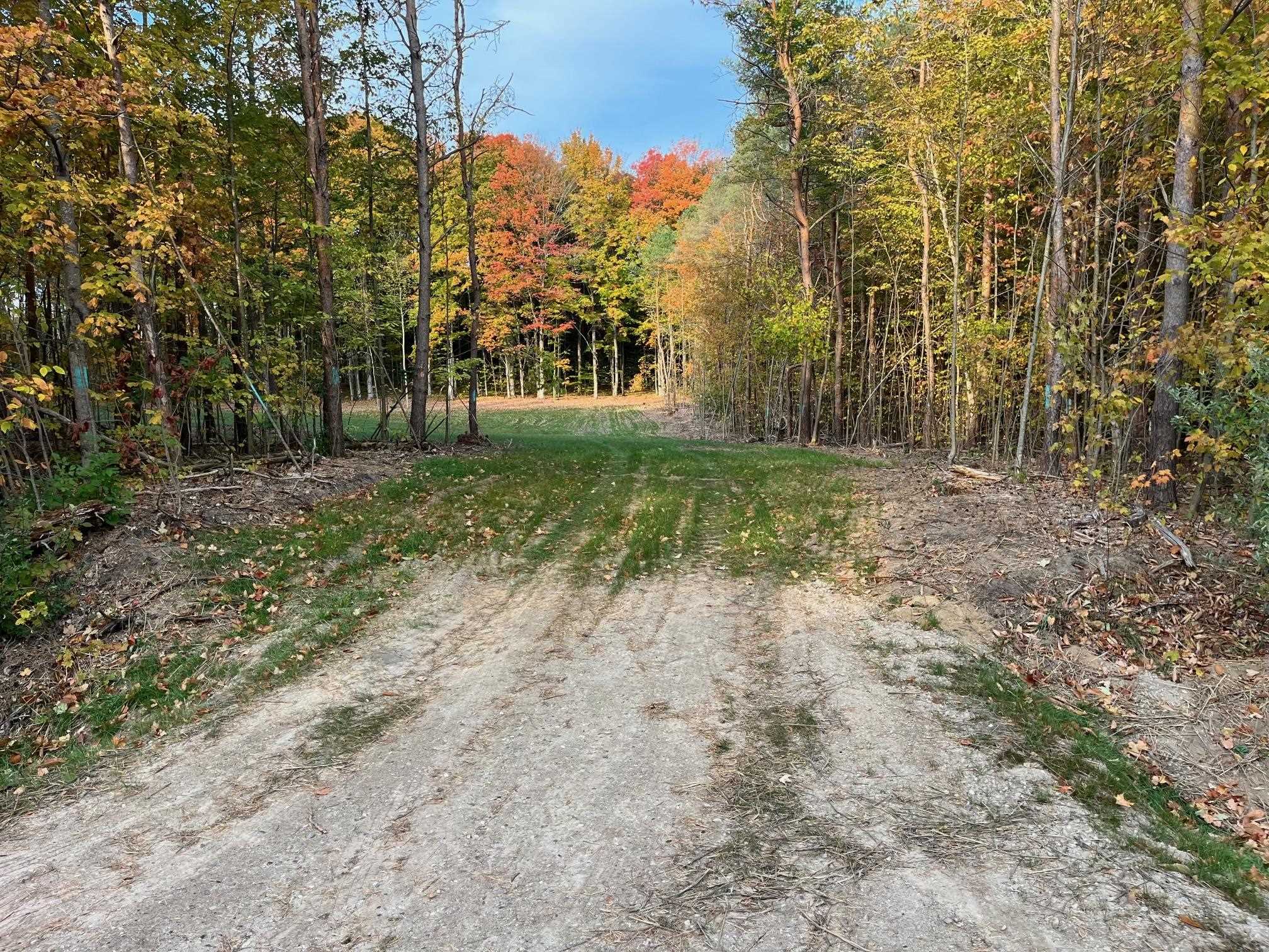 4 South Bright Road, Unit LOT: 4 Maple City, MI 49664 - Photo 4 of 10