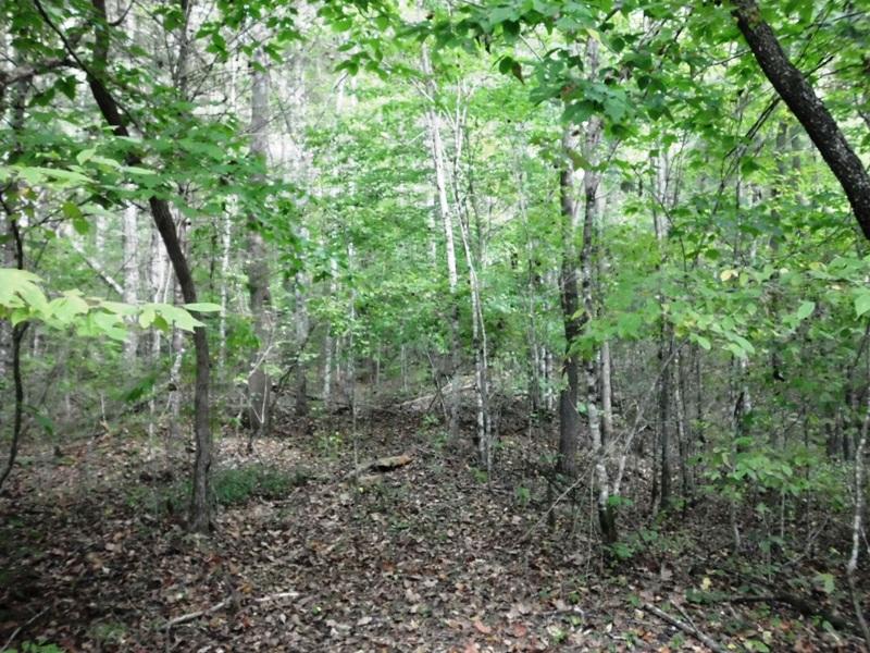 Creek Road Reliance, TN 37369 - Photo 11 of 17 SANY0052