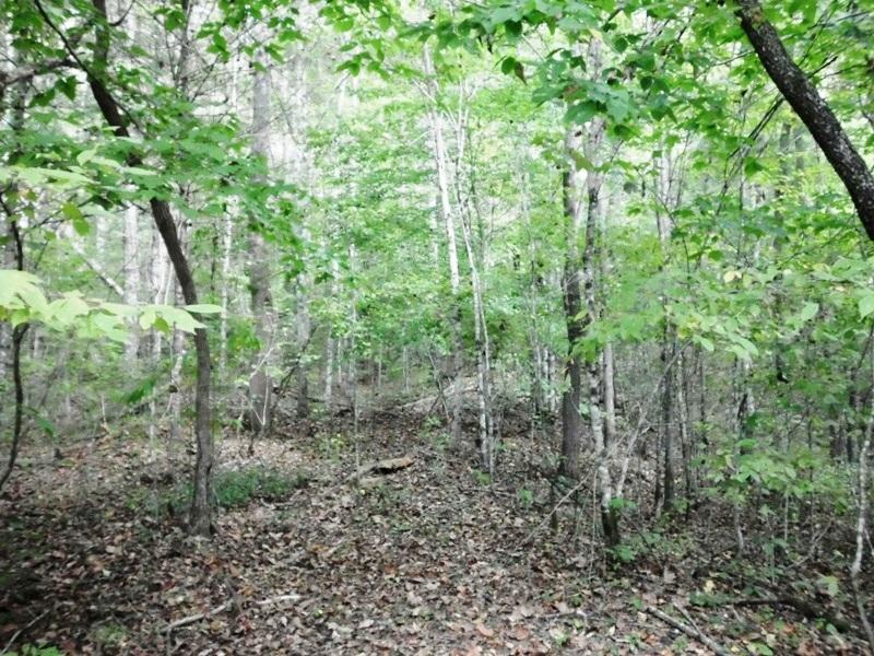 Creek Road Reliance, TN 37369 - Photo 3 of 17 2