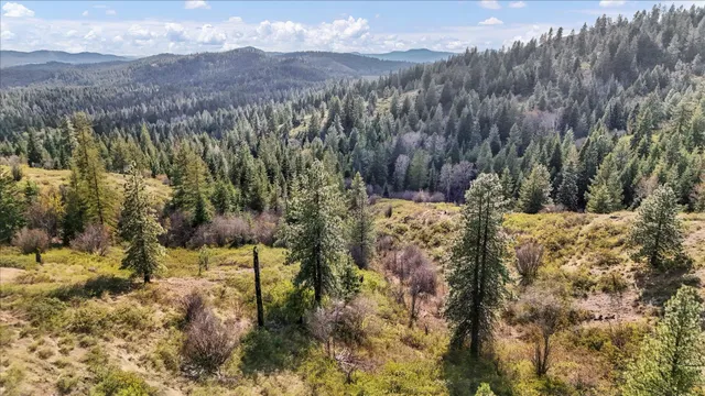 $110,000 | Nka Hershaw Road, Newport, WA 99156