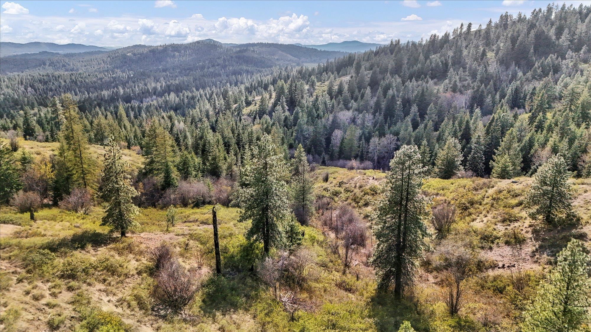 Nka Hershaw Road Newport, WA 99156 - Photo 20 of 34