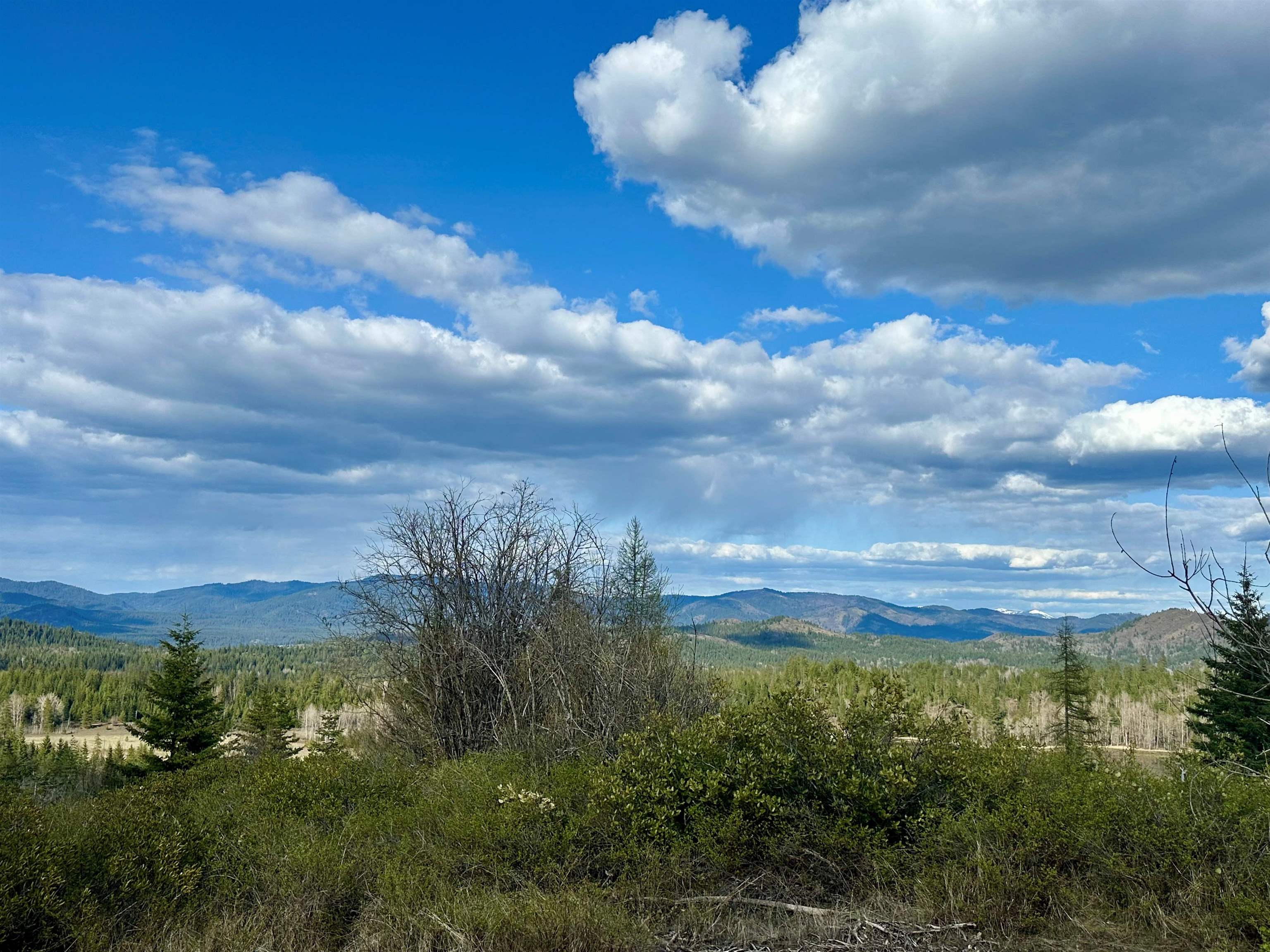 Nka Hershaw Road Newport, WA 99156 - Photo 2 of 34