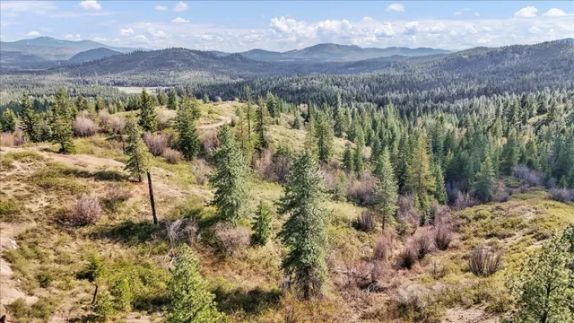 $110,000 | Nka Hershaw Road, Newport, WA 99156