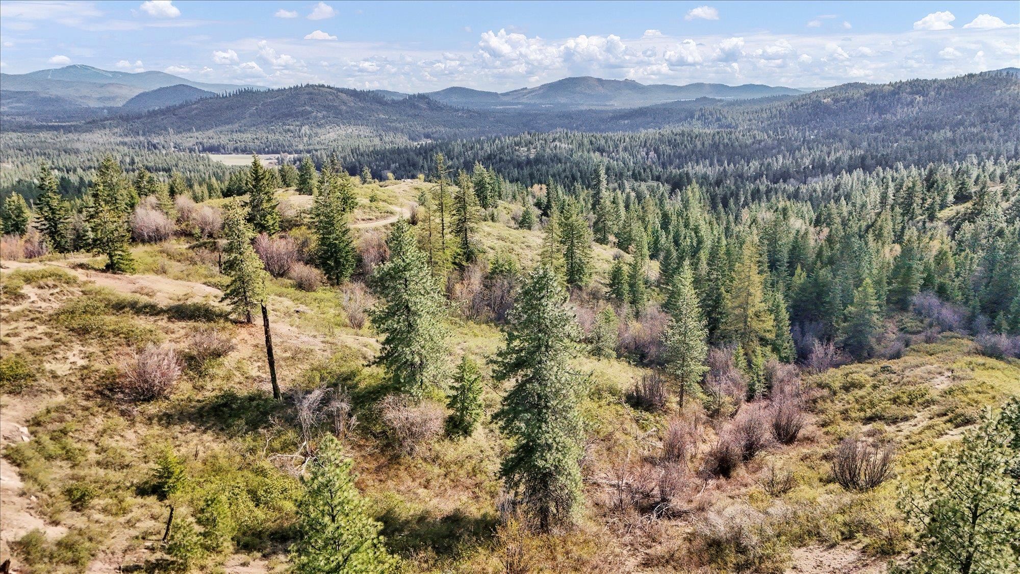 Nka Hershaw Road Newport, WA 99156 - Photo 21 of 34