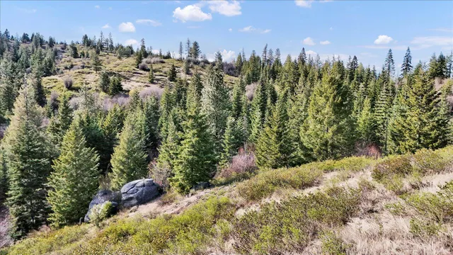 $110,000 | Nka Hershaw Road, Newport, WA 99156