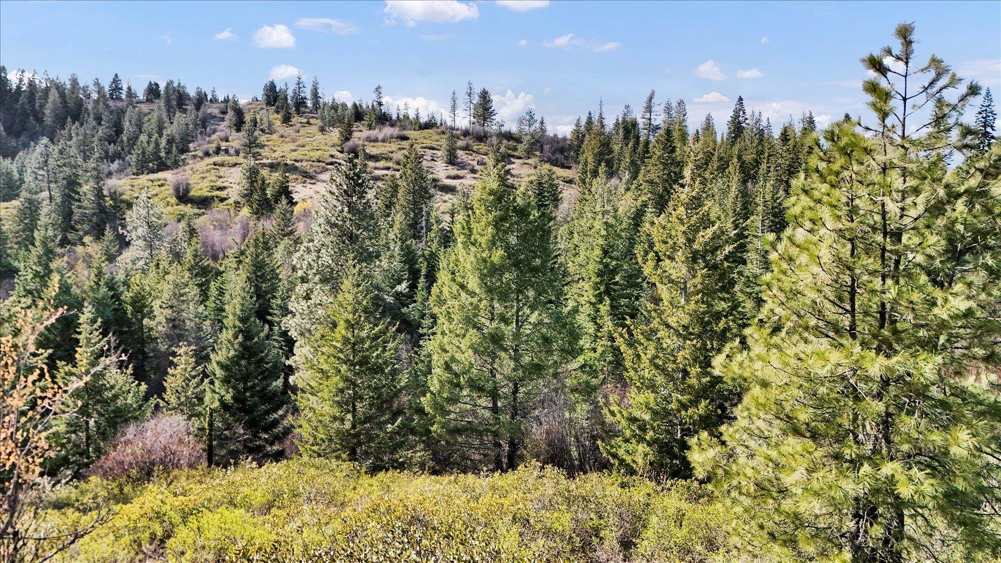 Nka Hershaw Road Newport, WA 99156 - Photo 24 of 34