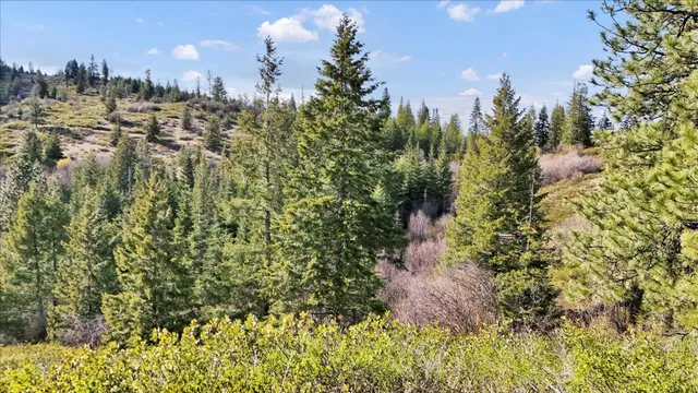 $110,000 | Nka Hershaw Road, Newport, WA 99156