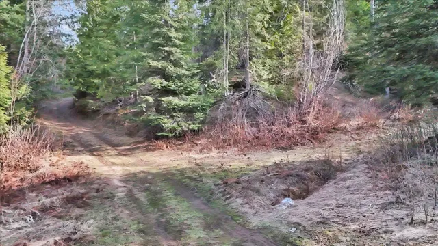 $110,000 | Nka Hershaw Road, Newport, WA 99156