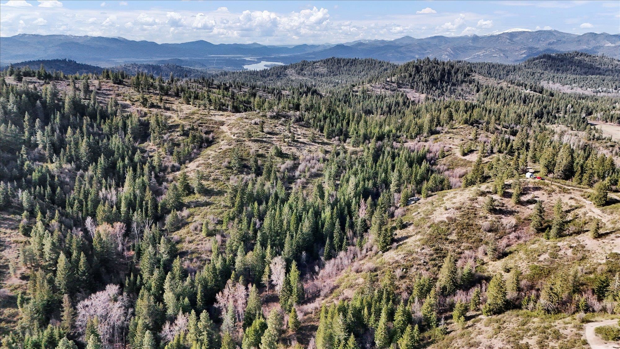 Nka Hershaw Road Newport, WA 99156 - Photo 31 of 34