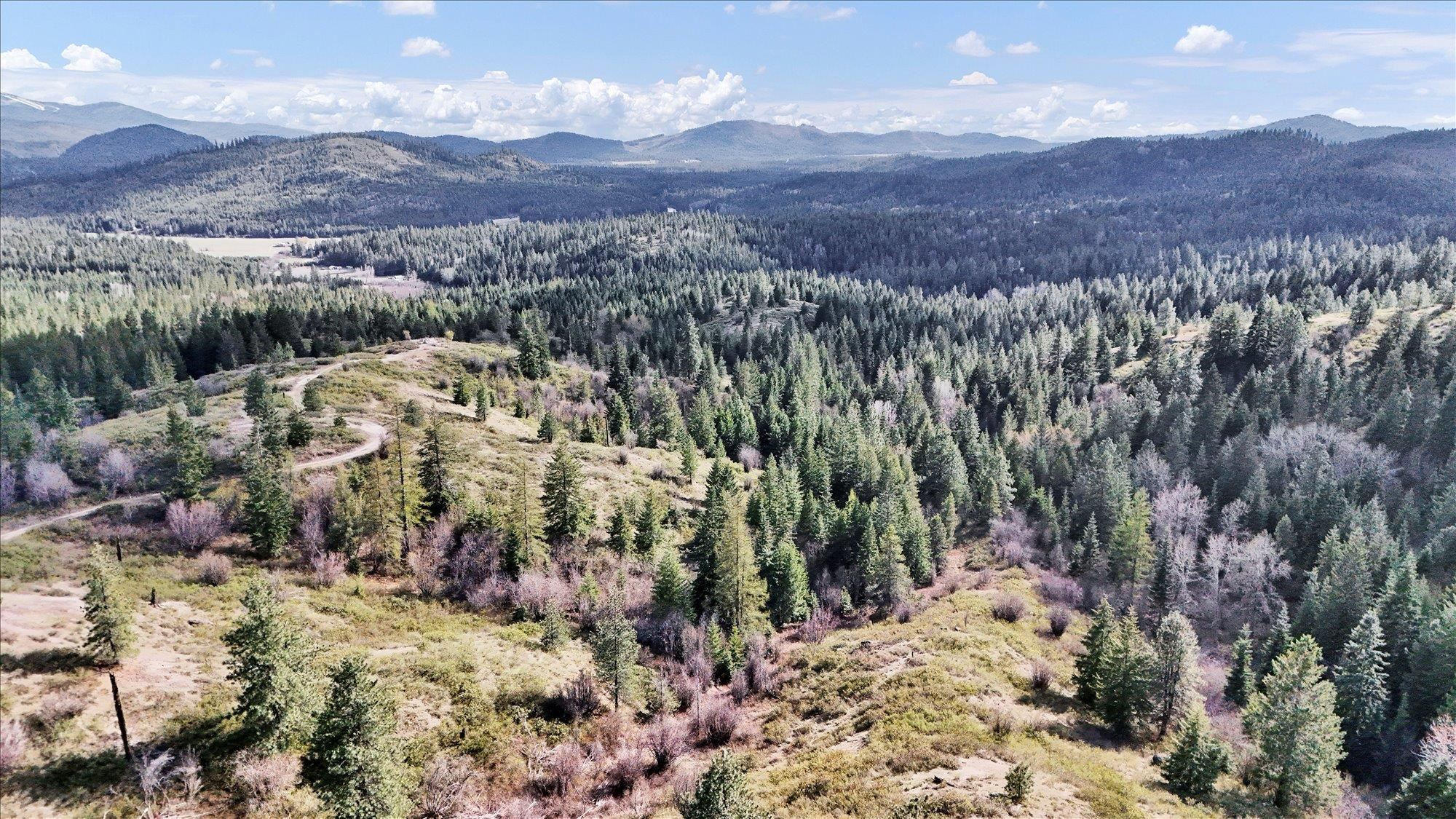 Nka Hershaw Road Newport, WA 99156 - Photo 34 of 34