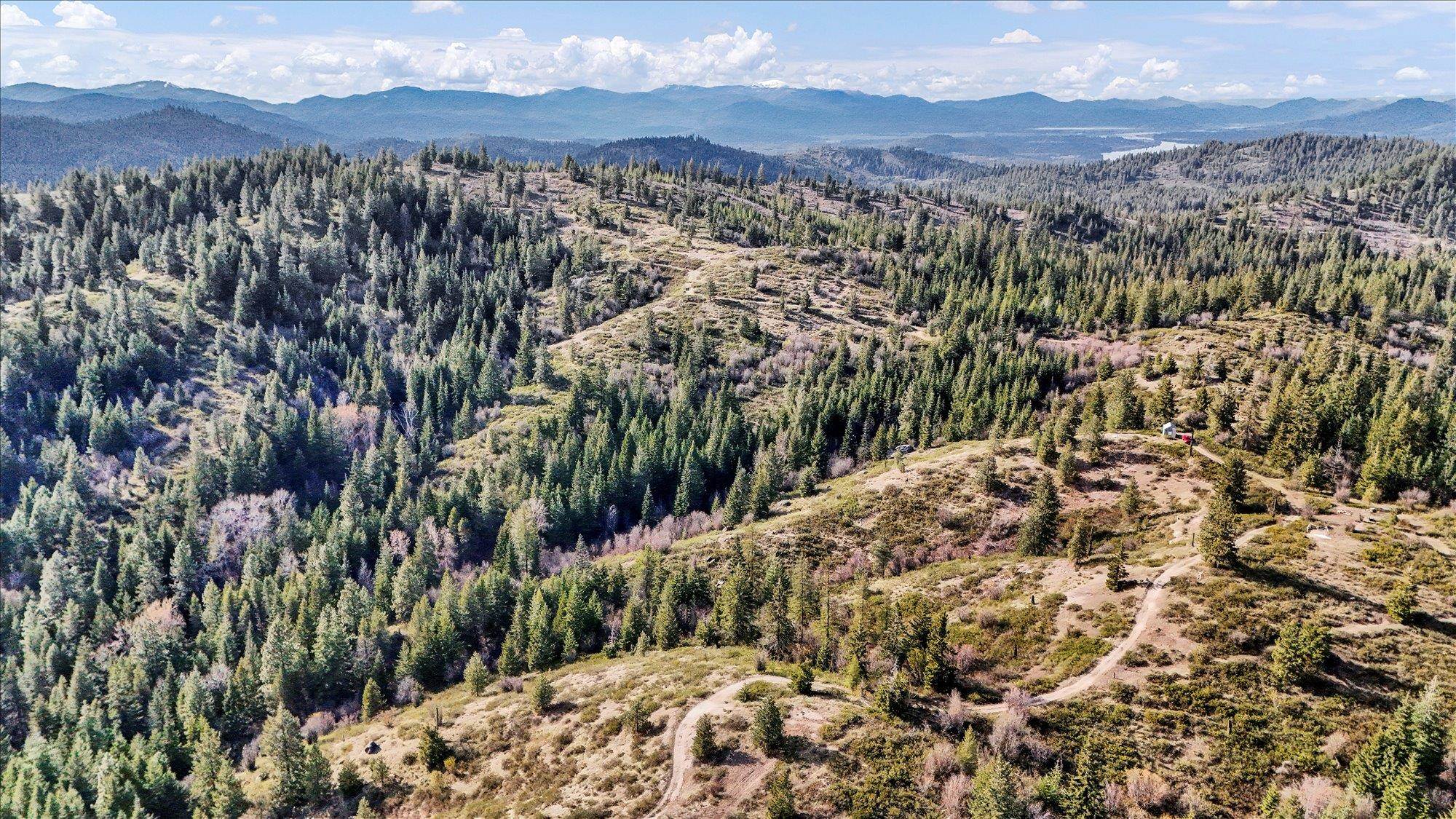 Nka Hershaw Road Newport, WA 99156 - Photo 9 of 34